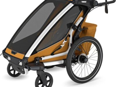 Remorque à vélo occasion Thule pour 1 Enfant - Chariot Sport 2 Single - natural gold